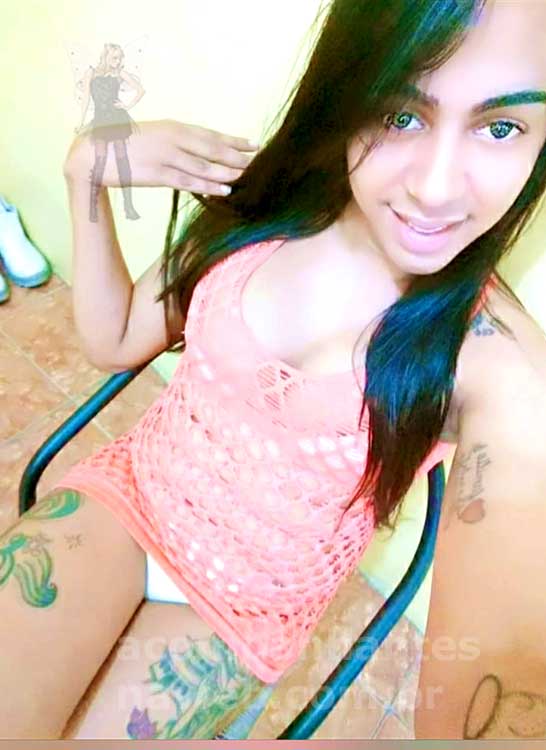 trans linda gotosa fortaleza thaynara lynder 4