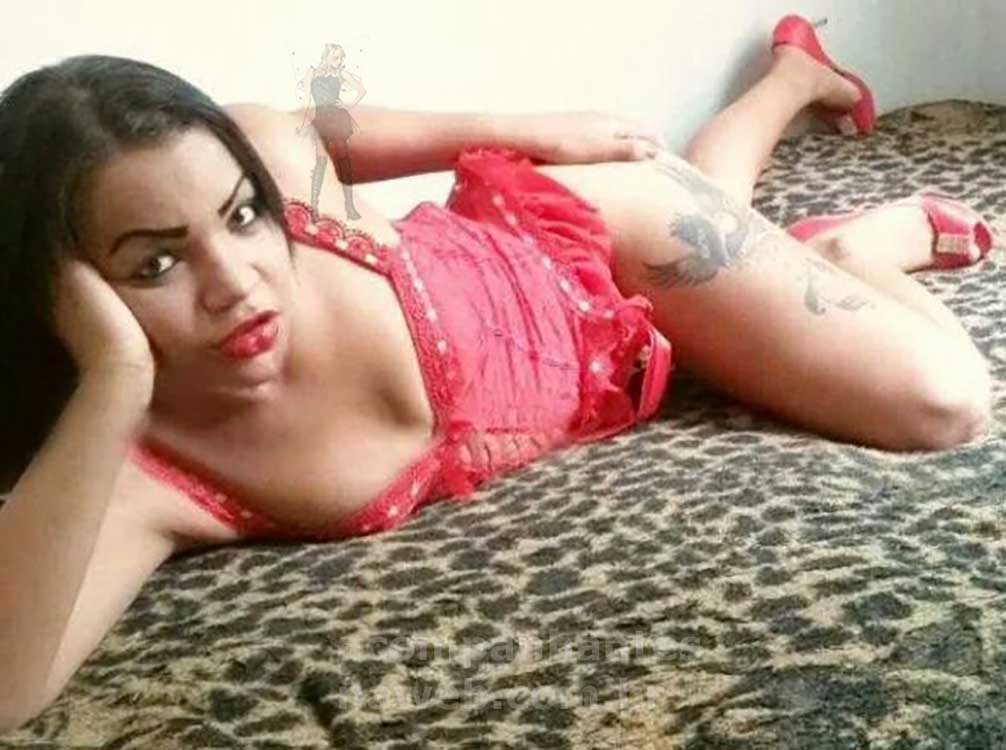 Acompanhante travesti de Uberaba 1 transex programa uberaba mirela 6