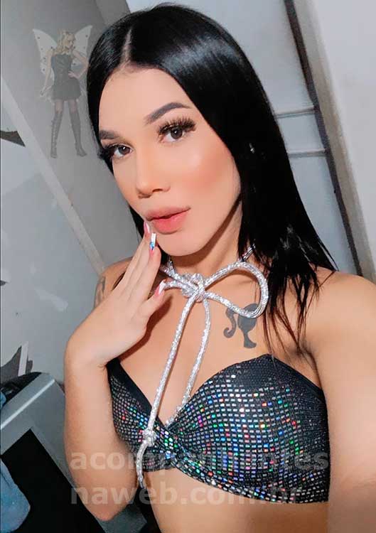Novinha e bem feminina 24 trans sexo virtual lauraq yasmin